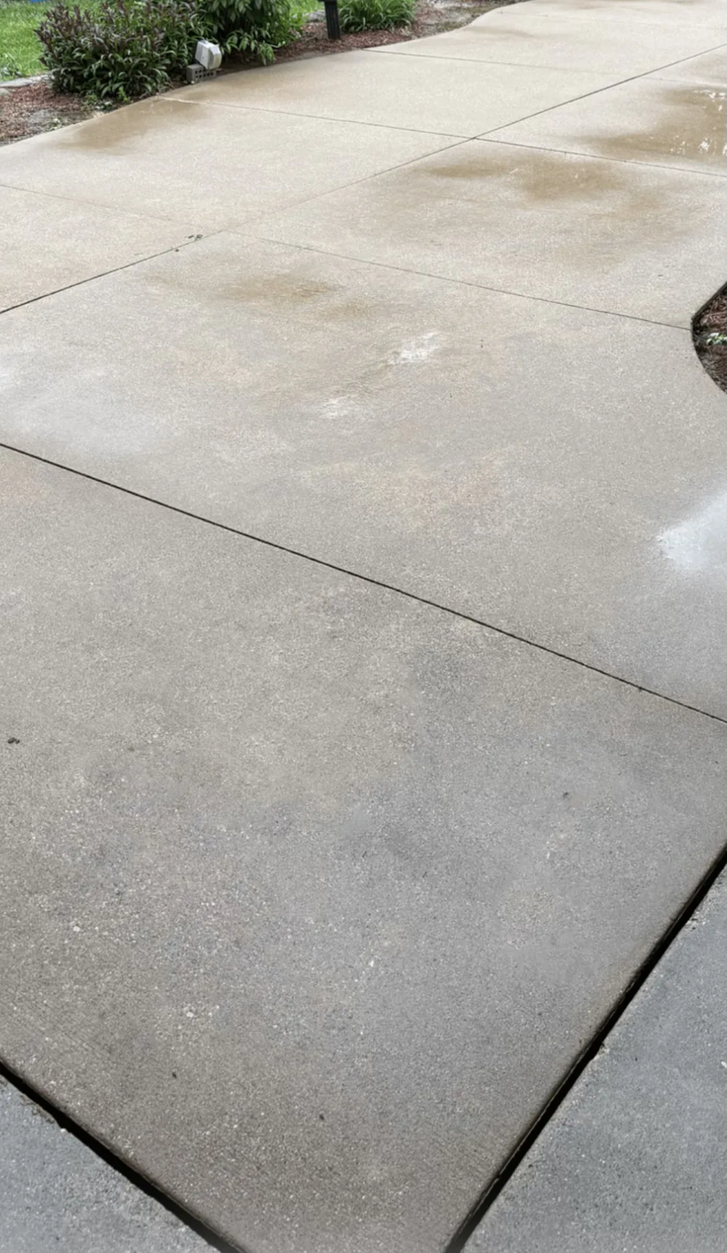 Professional Deck Cleaning for Homes and Small Businesses